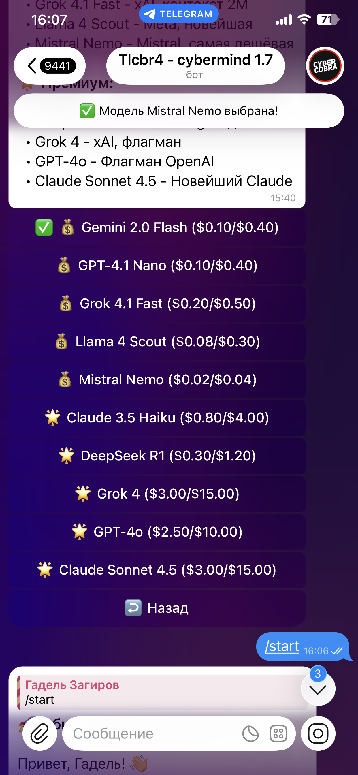 Скриншот OpenRouter 1